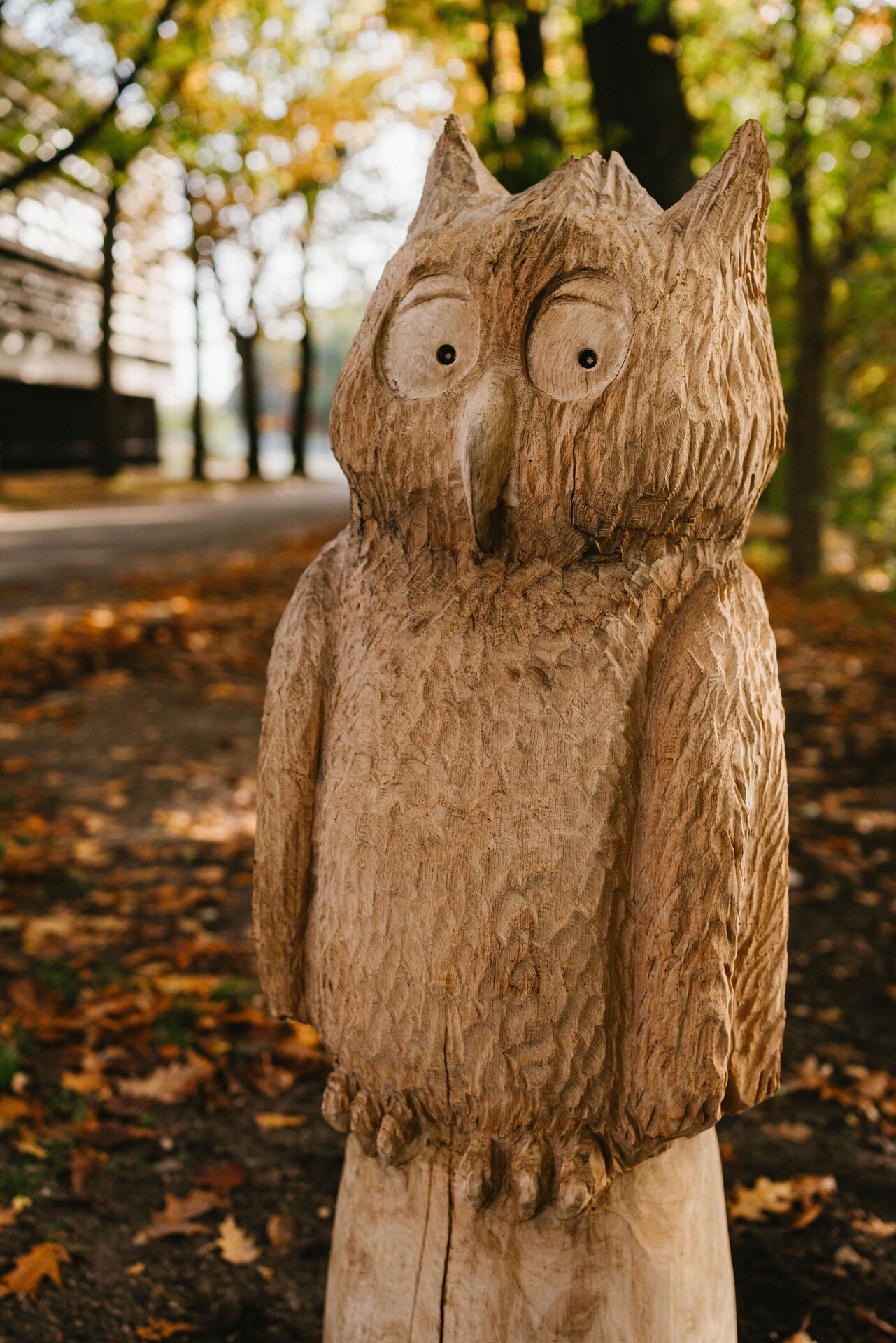 Lekker Donker Wandeling - uil