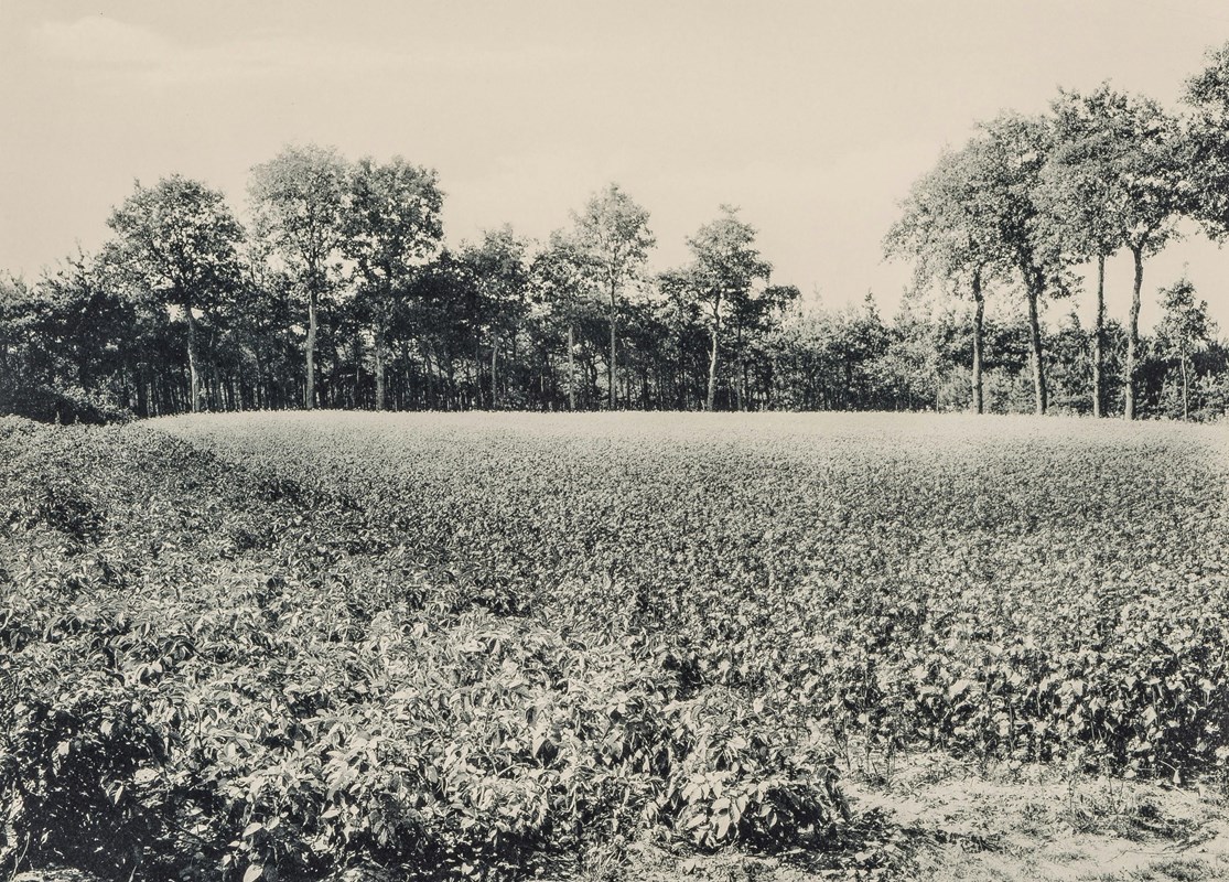 Genck vroeger, genk nu