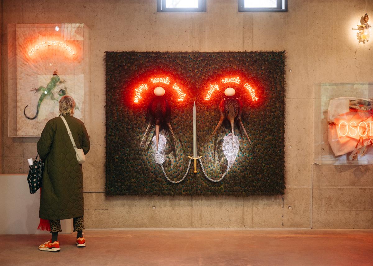 Labiomista open studio